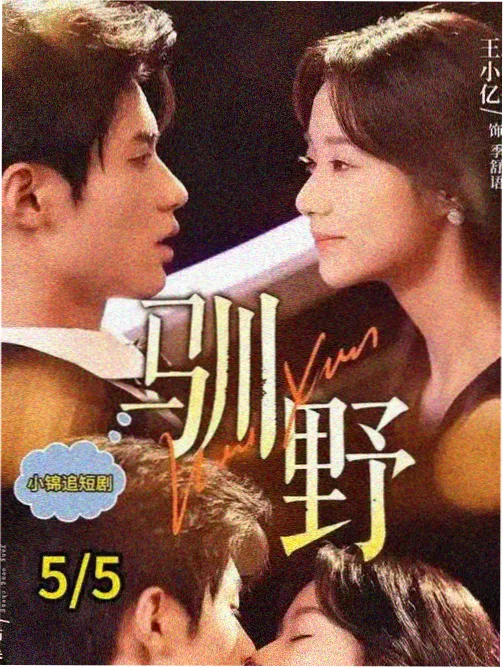 剧集雾港档案首播封面示意图